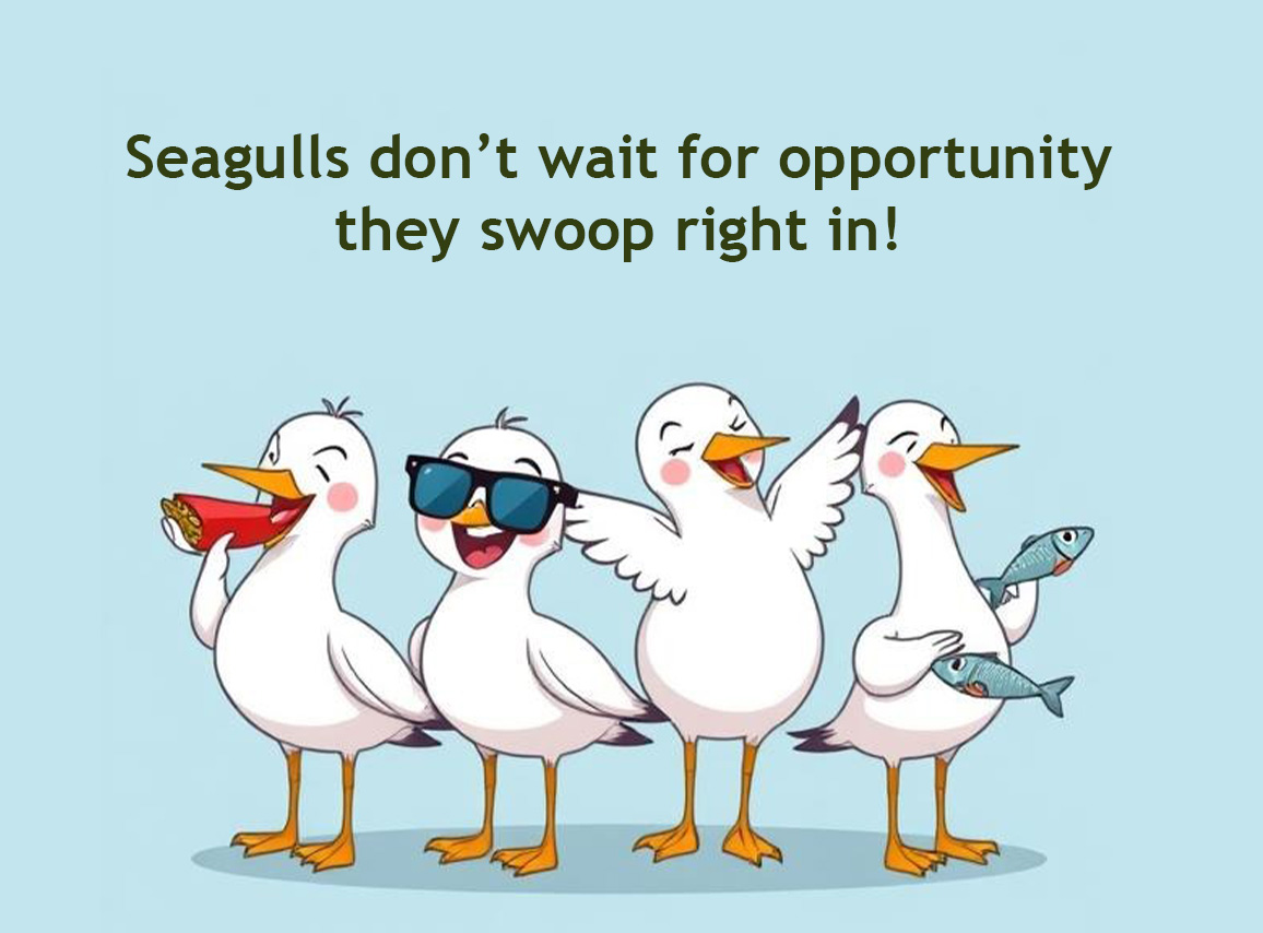 Seagulls don’t wait for opportunity—they swoop right in!